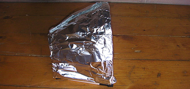 Body part of armadillo