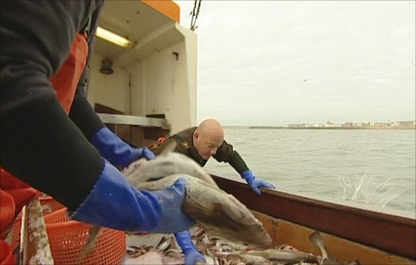 Fish being discarded