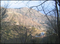 سمانہ