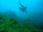 Diving