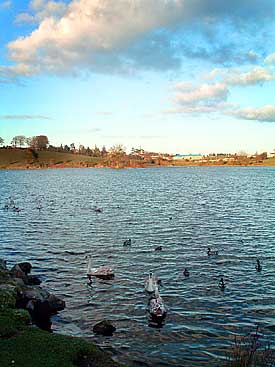 The Black Lough, Dungannon, Co Tyrone