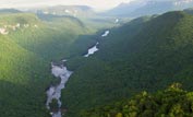 Aerial view of Guyana's forest