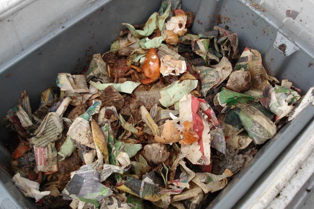Compost bin