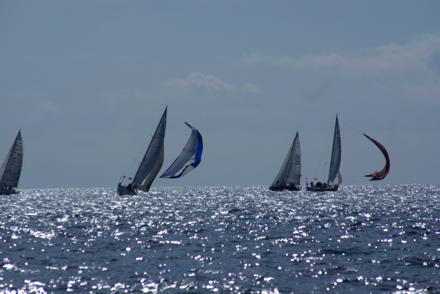 Wild spinnakers!