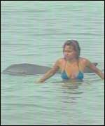 Tiao in Caraguatatuba