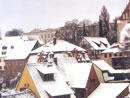 Zwinger