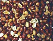 Amendoins