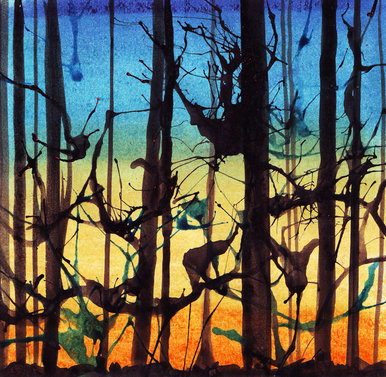 Sunset amongst the trees