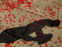 Shadow of a soldier on Remembrance Day