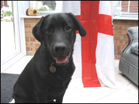Moby the guide dog next to an england flag