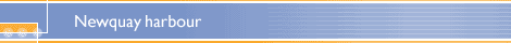 Newquay harbour