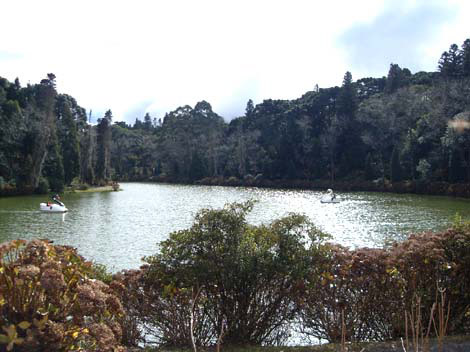 A Brazilian lake