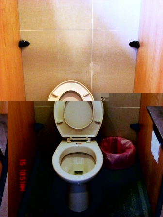 The sitting toilet