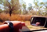 View from a car window - Leanne Thomas