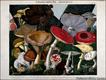 litografia colorida feita por A. Cornillon, em 1827