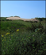 Sand dune