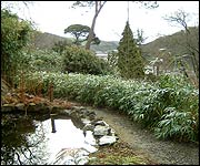 Pond and view