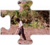 Jigsaw puzzle. Poor healthcare system