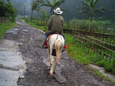 Indonesia