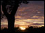 Sunrise. By George Ford