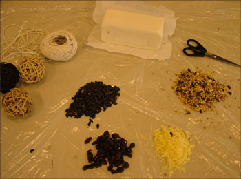 Materials for bird feeder