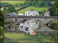 The Dart at Totnes