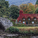 Autumn in Llanwrst