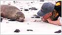 Seal pup and Janet Sumner