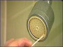 Shower head