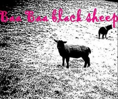 Baa baa black sheep