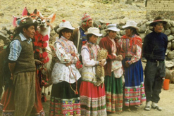 An Alpaca herder and his family in the Andes region Peru
