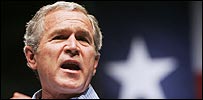 bush203100.jpg