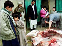 قربانی