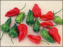 Is this the hottest chilli in the world?