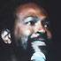 Marvin Gaye 