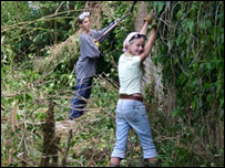 Work on the walled garden