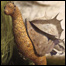 Imagem do "chupador-pulador" - Crédito da foto: ©The Future is Wild Limited - Pictural Charts Educational Trust
