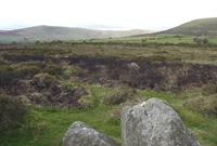 Preseli