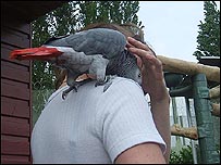 The Sanctuary at Foston Hall Prison