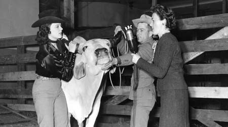 Cowgirl Evelyn Gibbs and her cowpuncher companion at a rodeo in Madison Square Garden in New York