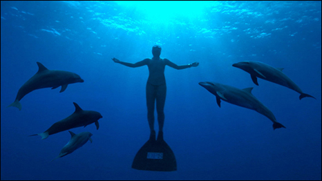 Free diver with dolphins