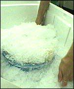 Organs placed in ice for transportation