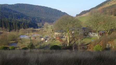 Blaeneinion Conservation Project at Artist Valley near Machynlleth
