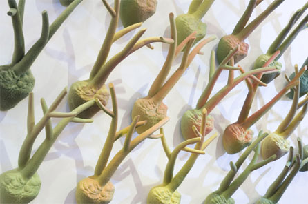 Natalia Dias, Autumn Hearts, porcelain 2010. Photo: Jon Pountney