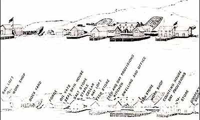 Lester and Company premises at Trinity - typical of the Newfoundland stations