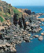 Lizard Point