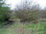 Lochore Meadows Country Park