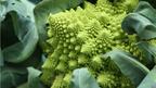 A broccoli